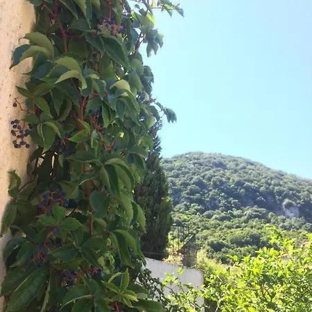 Giannatos' - Makis * Poros (Kefalonia)