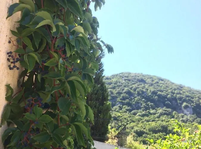 Giannatos' - Makis * Poros (Kefalonia)