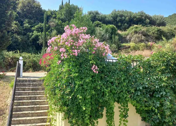 Giannatos' - Makis Daire *